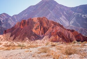 norte-argentino-suri-travel